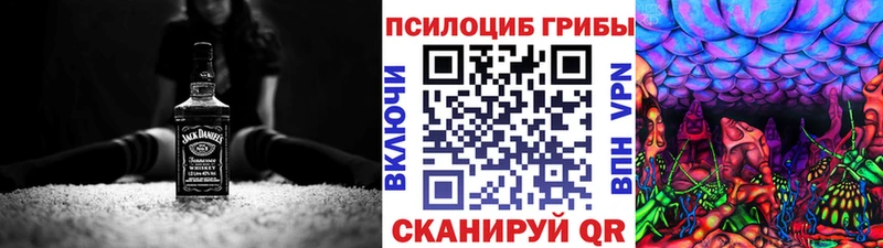 Галлюциногенные грибы Cubensis  Александров 